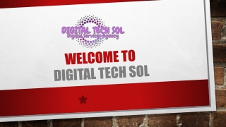 Best Web Development Services in Jamia Nagar