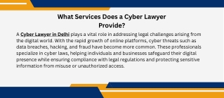 What Services Does a Cyber Lawyer Provide