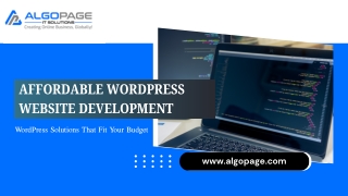 Affordable Wordpress Website Development