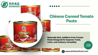 Chinese Canned Tomato Paste