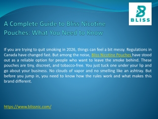 A Complete Guide to Bliss Nicotine Pouches: What You Need to Know