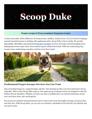 Dog poop scooper