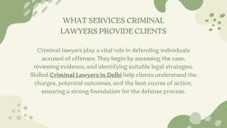 What Services Criminal Lawyers Provide Clients