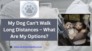 My Dog Can’t Walk Long Distances – What Are My Options?