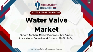 Water Value PPT