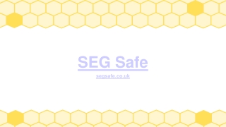 SEG Safe