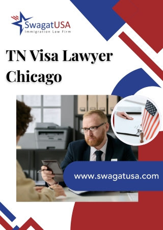 TN Visa Lawyer Chicago | NAFTA Work Visa Support