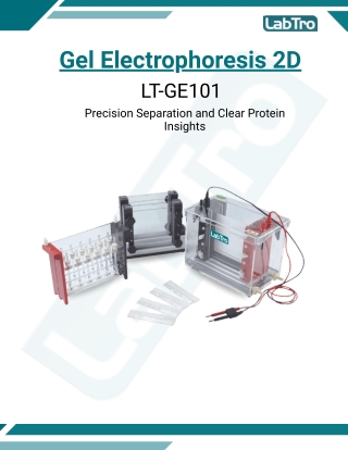 Gel Electrophoresis 2D LT-GEL101- protein gel electrophoresis