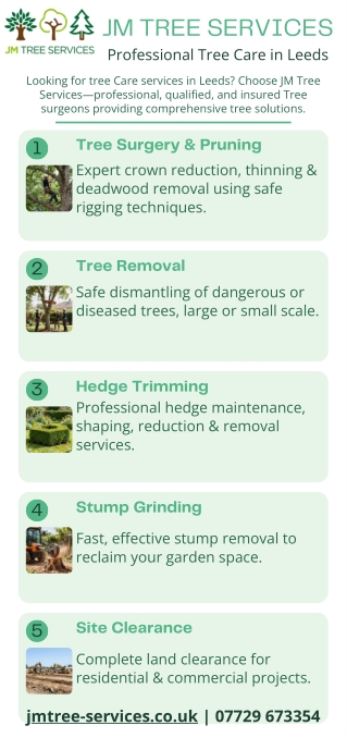 Professional Tree care surgeons in Roundhay, Alwoodley and Leeds