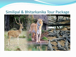 Orissa Packages: Simlipal and Bhitarkanika tour Package