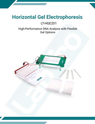 Horizontal Gel Electrophoresis LT-HGE201 - protein gel electrophoresis
