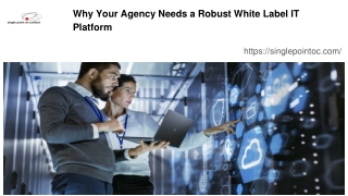 Why Your Agency Needs a Robust White Label IT Platform