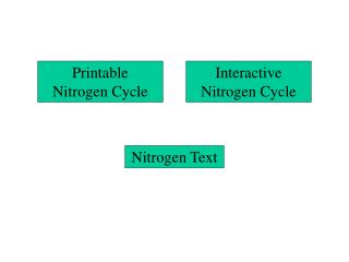 Interactive Nitrogen Cycle