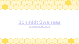 Schmidt Swansea