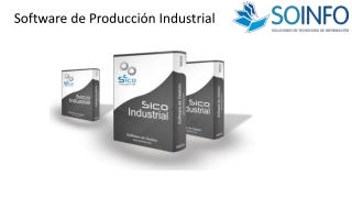 Software de Producción Industrial