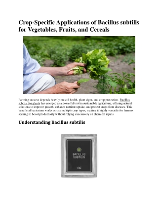 How Bacillus subtilis Improves Root Growth and Yield Across Key Crops