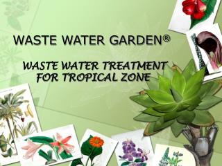 WASTE WATER GARDEN ®