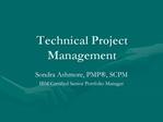 Technical Project Management