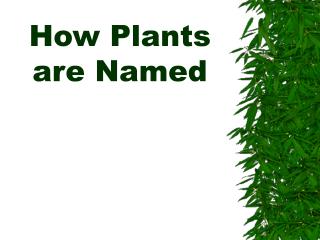 How Plants are Named
