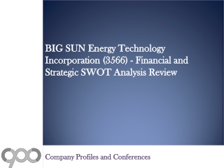 BIG SUN Energy Technology Incorporation (3566) - Financial a