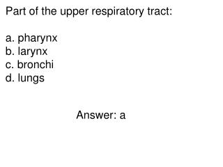 Part of the upper respiratory tract: pharynx larynx bronchi lungs