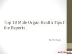 Top 10 Male Organ Health Tips from the Experts