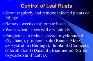 Control of Leaf Rusts