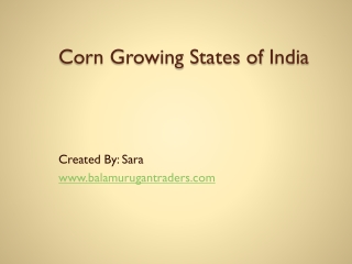 Corn Growing States of India
