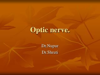 Optic nerve.