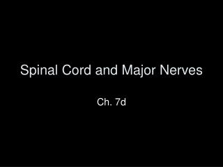 Spinal Cord and Major Nerves