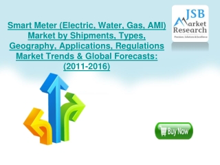 Smart Meter (Electric, Water, Gas, AMI) Market by Shipments,