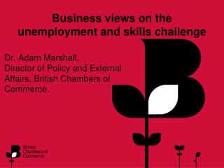 Business views on the unemployment and skills challenge