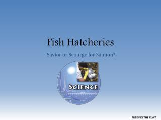 Fish Hatcheries