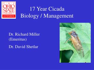 17 Year Cicada Biology / Management