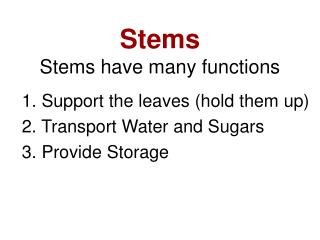 Stems Stems have many functions