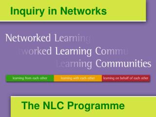 Inquiry in Networks