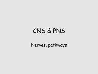 CNS &amp; PNS
