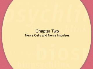 Chapter Two Nerve Cells and Nerve Impulses