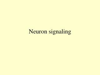 Neuron signaling
