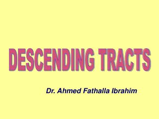 DESCENDING TRACTS