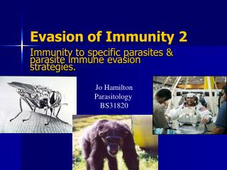 Evasion of Immunity 2