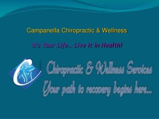 Chiropractic & Wellness Services in Rochester, NY