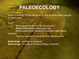 PALEOECOLOGY