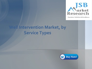 Well Intervention Market, by Service Types