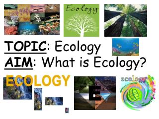 TOPIC : Ecology AIM : What is Ecology?