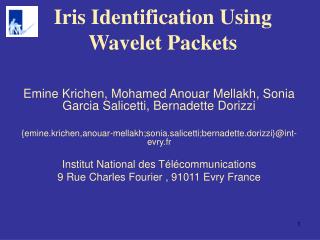 Iris Identification Using Wavelet Packets