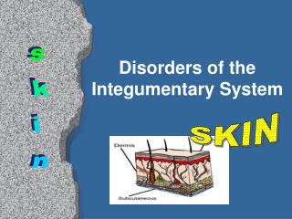 Disorders of the Integumentary System