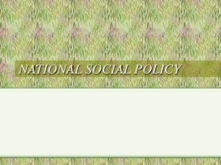 NATIONAL SOCIAL POLICY