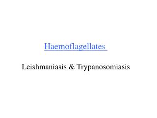 Haemoflagellates Leishmaniasis &amp; Trypanosomiasis