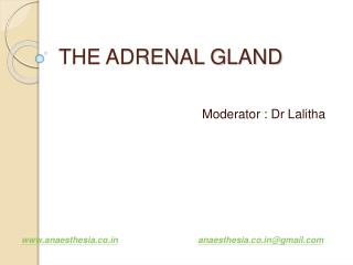 THE ADRENAL GLAND